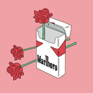 Meet your Posher, Riley